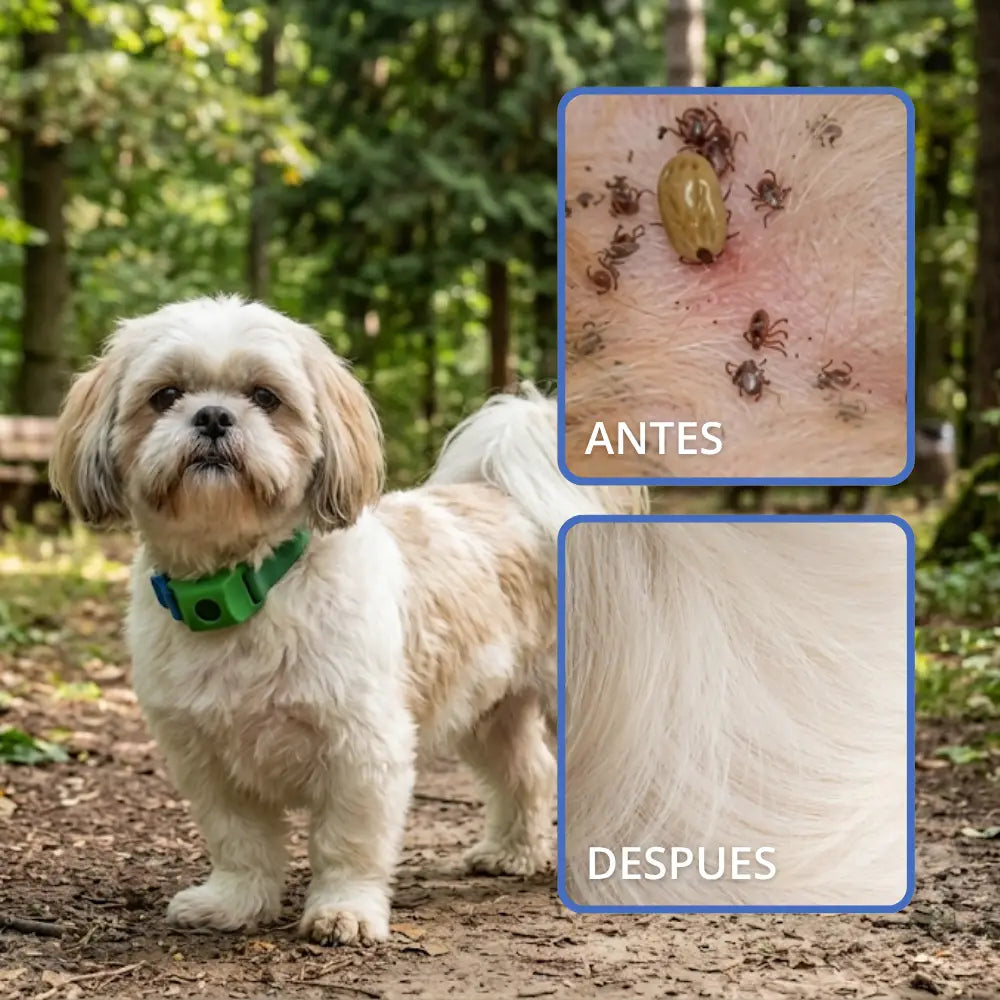 Medallón Antigarrapatas, Pulgas y Mosquitos — Protección de 12 Meses, 100% Natural