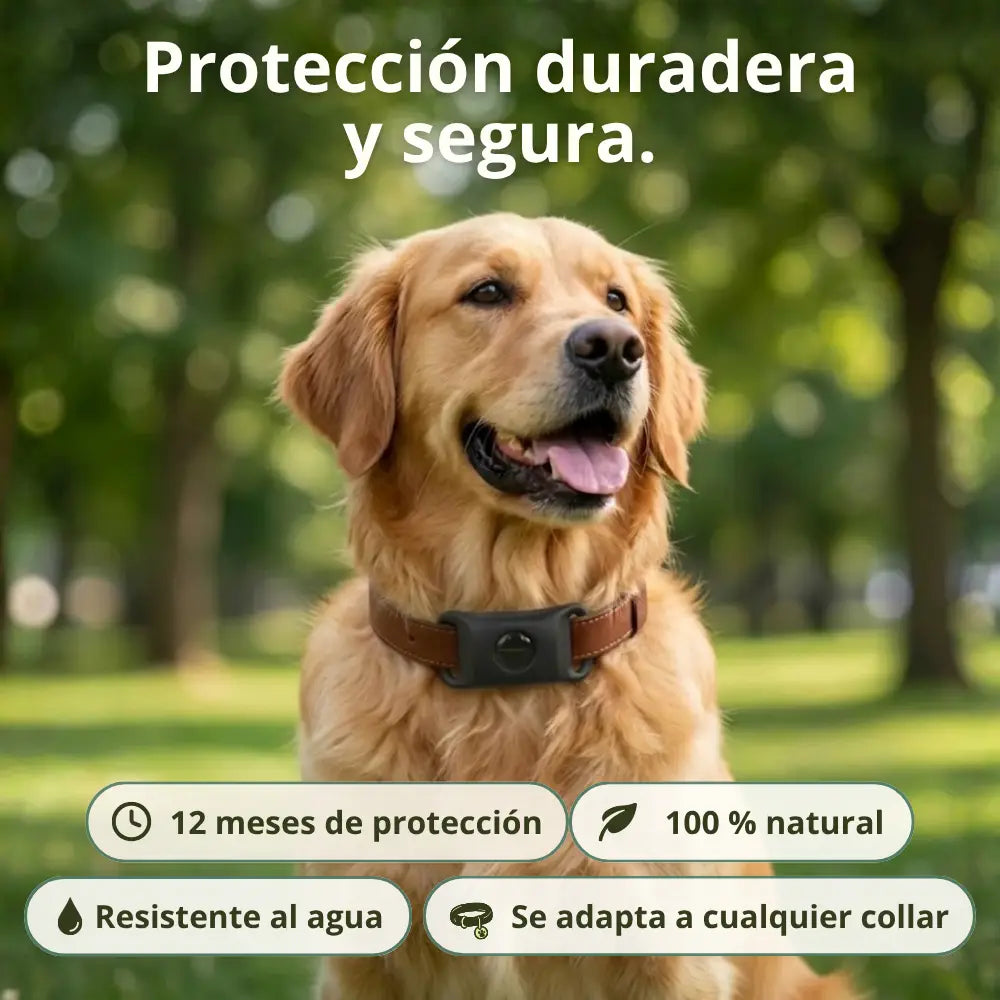 Medallón Antigarrapatas, Pulgas y Mosquitos — Protección de 12 Meses, 100% Natural