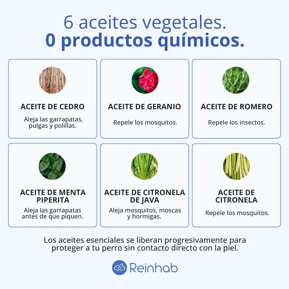 Medallón Antigarrapatas, Pulgas y Mosquitos — Protección de 12 Meses, 100% Natural