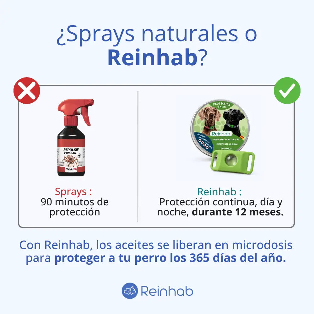 Medallón Antigarrapatas, Pulgas y Mosquitos — Protección de 12 Meses, 100% Natural