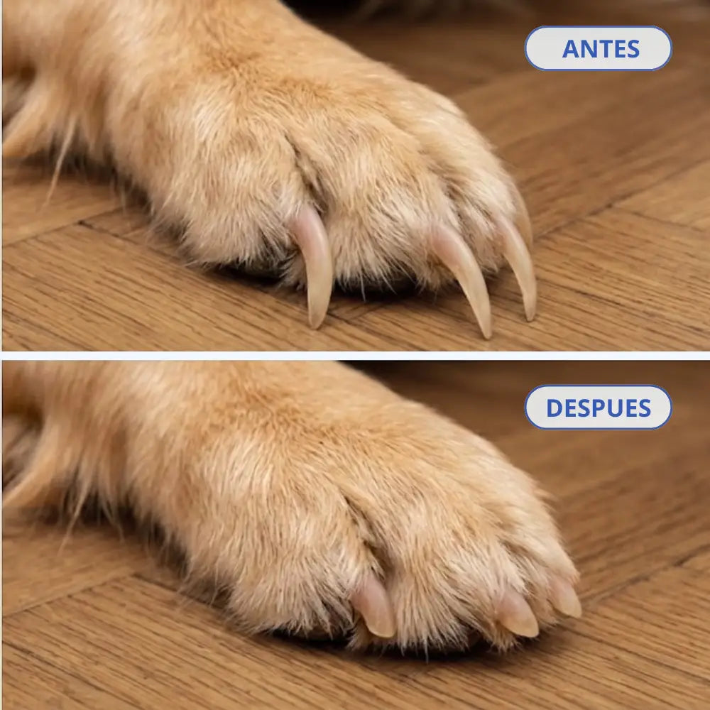 Lima de uñas silenciosa LimeGriffe™