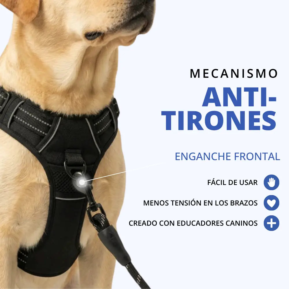 Arnés antitirones