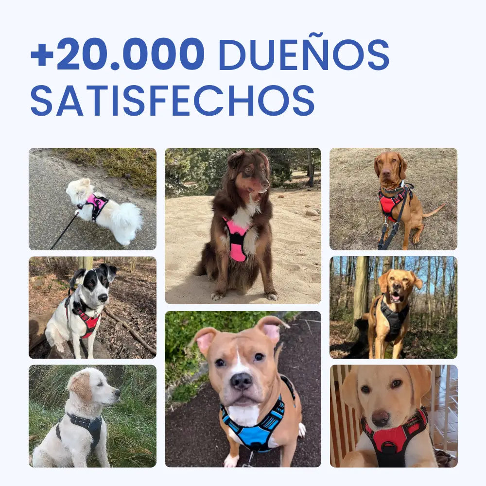 Arnés antitirones