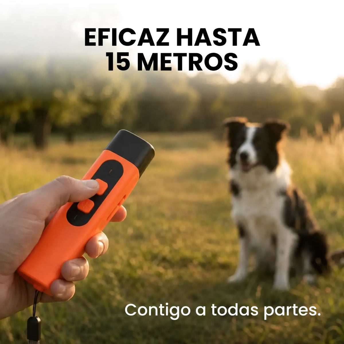 Dispositivo anti-ladridos
