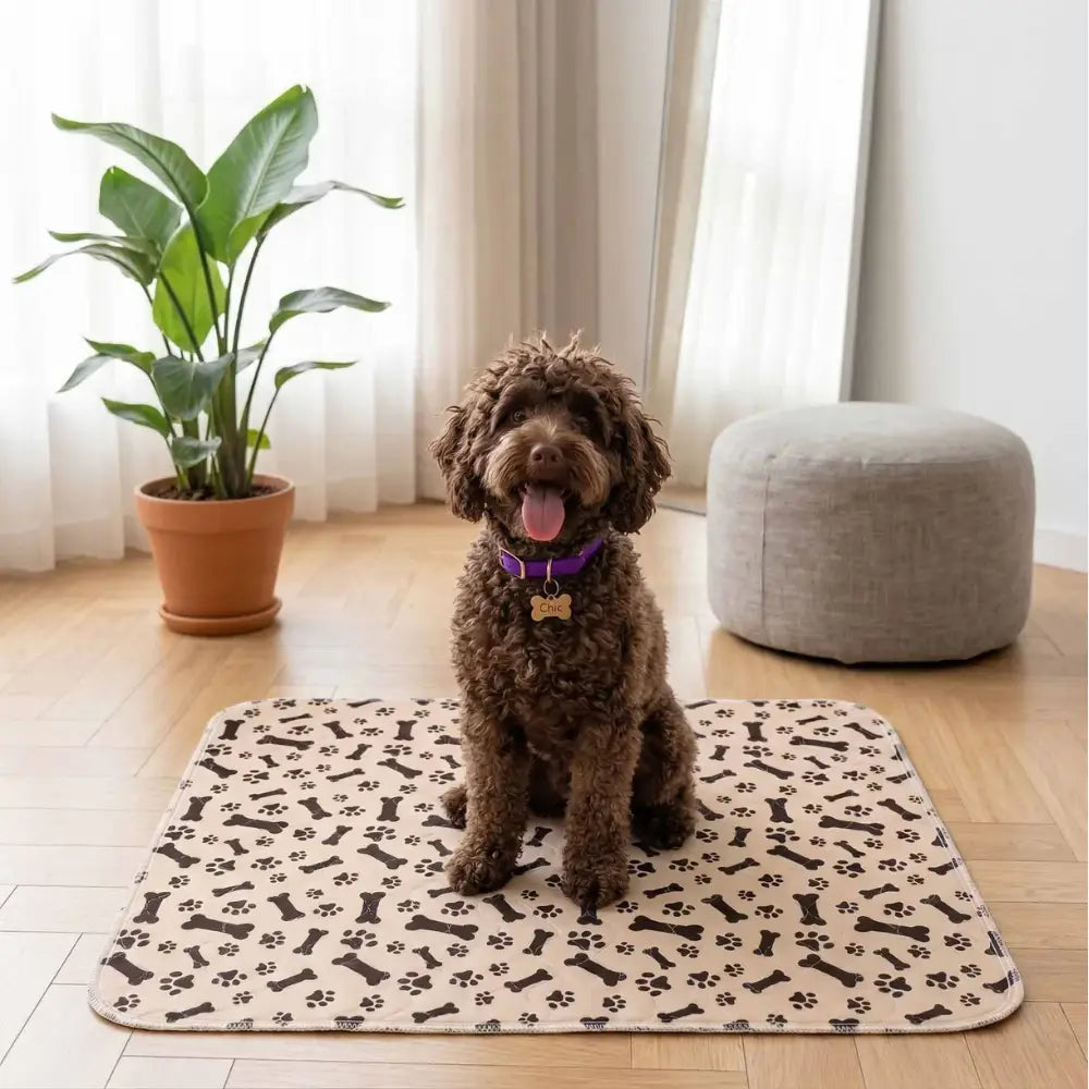 Alfombrilla higiénica, absorbente y lavable para perros y cachorros