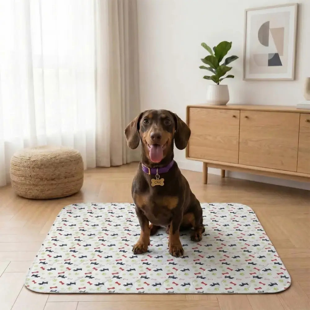Alfombrilla higiénica, absorbente y lavable para perros y cachorros