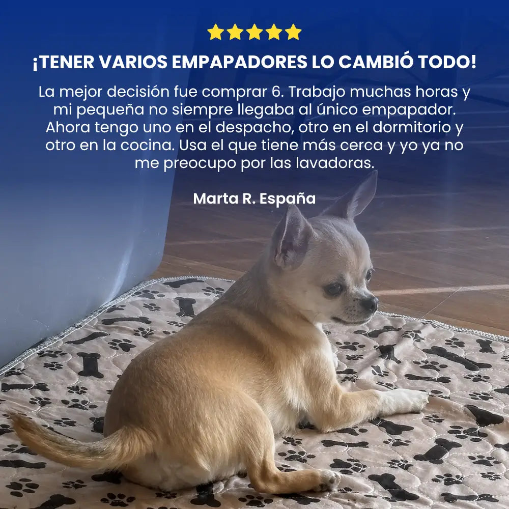 Alfombrilla higiénica, absorbente y lavable para perros y cachorros