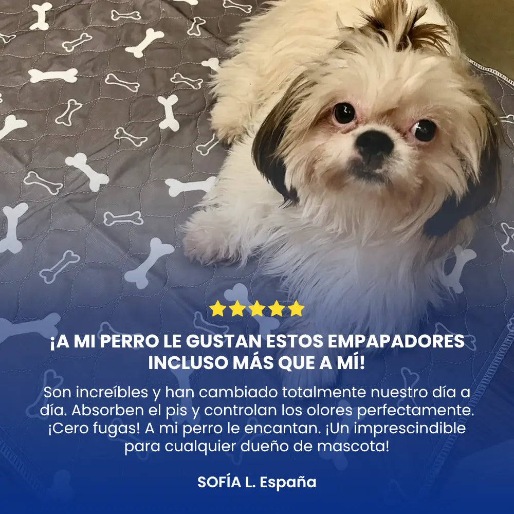 Alfombrilla higiénica, absorbente y lavable para perros y cachorros